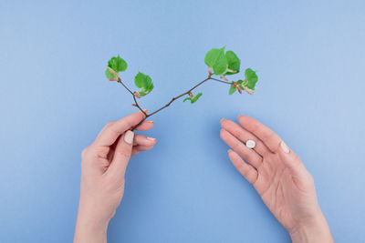 Cropped hand of woman holding plant against blue background