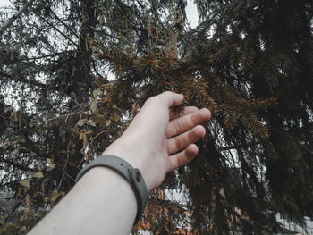 Low angle view of hand against trees in forest