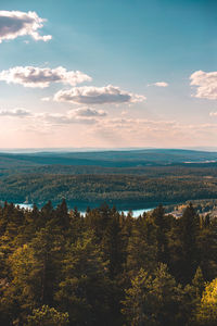 High angle view of trees on landscape against sky
