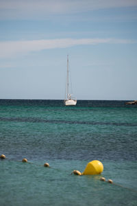 Sailboat sailing in sea against sky