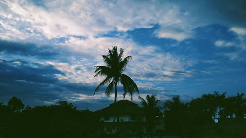 Low angle view of silhouette palm trees against sky
