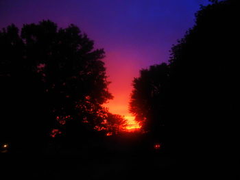 Low angle view of silhouette trees against sky at sunset