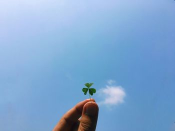 Close-up of hand holding plant against blue sky