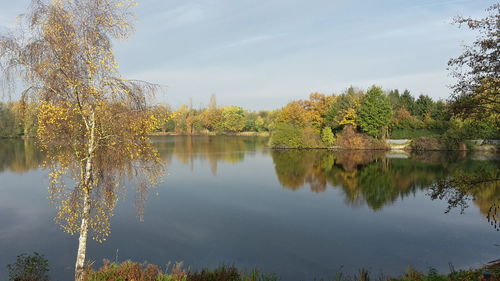 Reflection of trees in lake