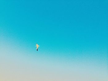 Low angle view of kite flying against clear blue sky