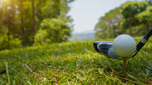 Golf ball on grass