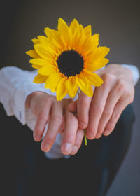 Close-up of hand holding yellow flower