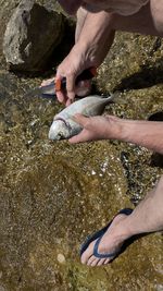 Midsection of man hand on rock