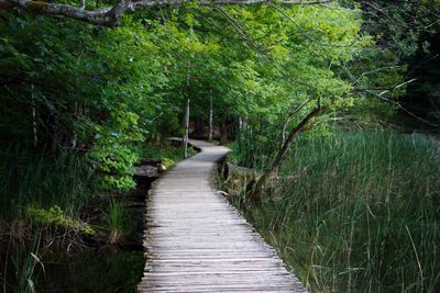 People walking on footbridge