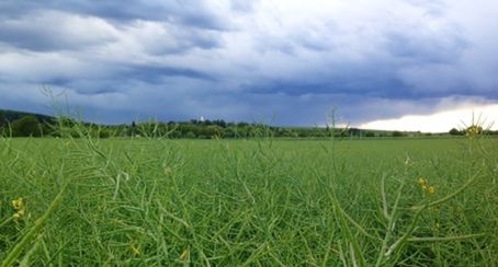 Scenic view of field against cloudy sky