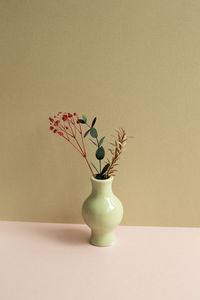 Close-up of potted plant on table