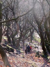 Rear view of man walking on tree