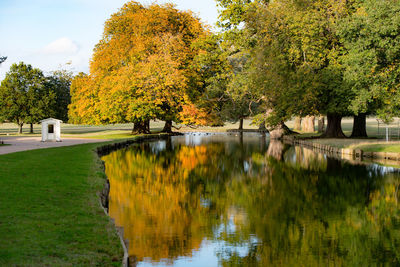 Scenic view of lake by trees during autumn