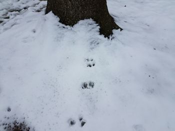 High angle view of snow covered field