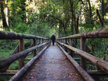 Rear view of man on bridge in forest