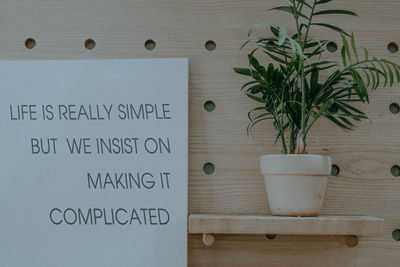 Directly above shot of potted plant on table