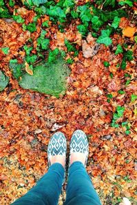 Low section of person standing in autumn leaves