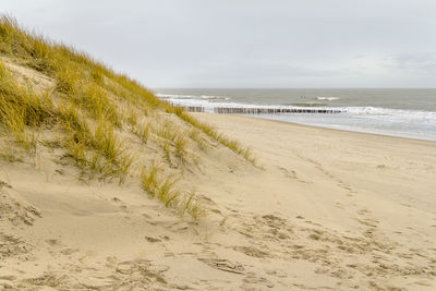 Scenic view of beach against sky