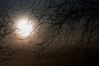 Low angle view of bare trees against sky at sunset