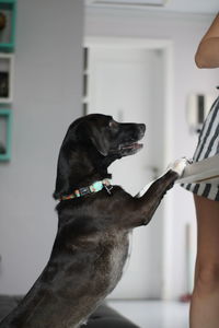 Man holding dog