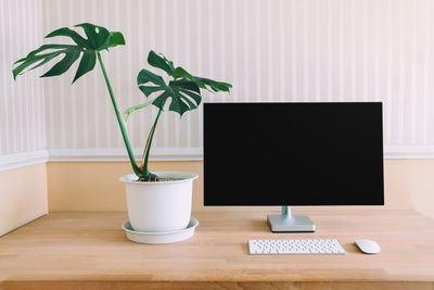 Potted plant on table