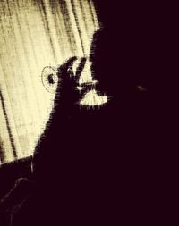 Low angle view of trees