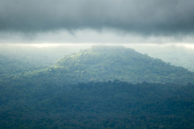 High angle view of trees against sky