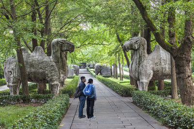 Rear view of woman walking on footpath