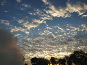 Low angle view of silhouette trees against sky