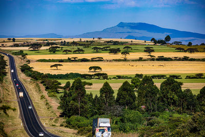 landscape
