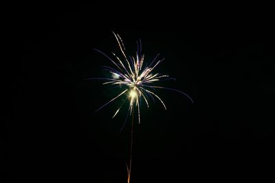 Low angle view of firework display at night