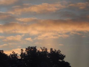 Low angle view of trees against cloudy sky