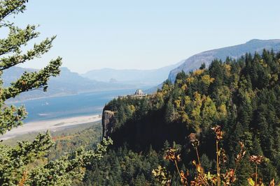 Scenic view of trees and mountains against sky