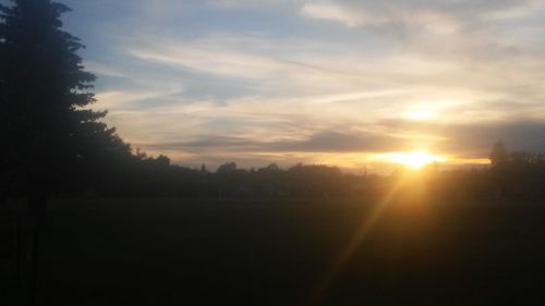 Silhouette trees on field against sky at sunset