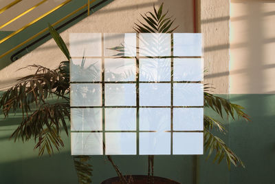 Close-up of glass window