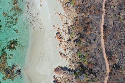 Aerial view of beach