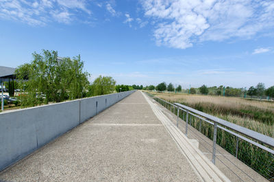 View of empty road along trees