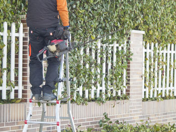 Low section of man standing by plants