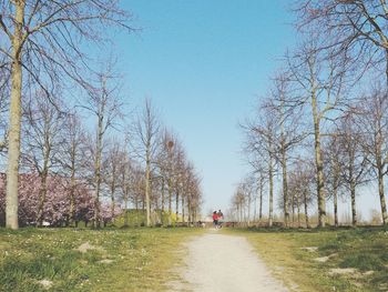 Man walking on footpath amidst bare trees against sky