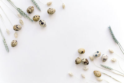 High angle view of candies on white table