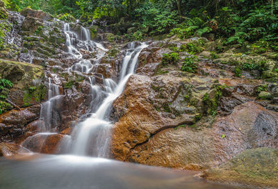 Scenic view of waterfall in forest