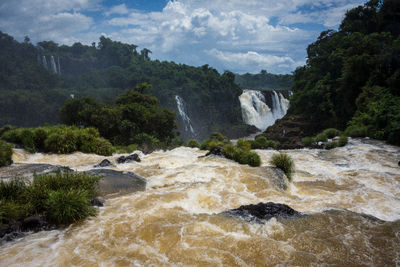 Scenic view of waterfall in forest