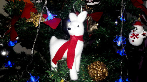 Close-up of christmas decoration hanging on tree at night