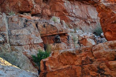 Low angle view of rock formation