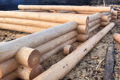 Stack of logs on field in forest