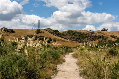 Scenic view of field against cloudy sky