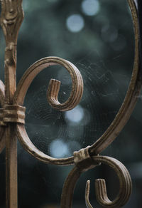 Close-up of spider web on metal