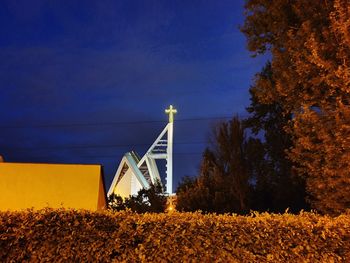 Plants by illuminated building against sky at night