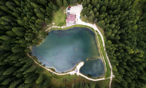 High angle view of lake amidst trees