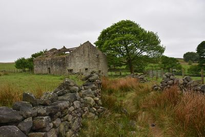 View of ruined house and stone walls with tree in meadow